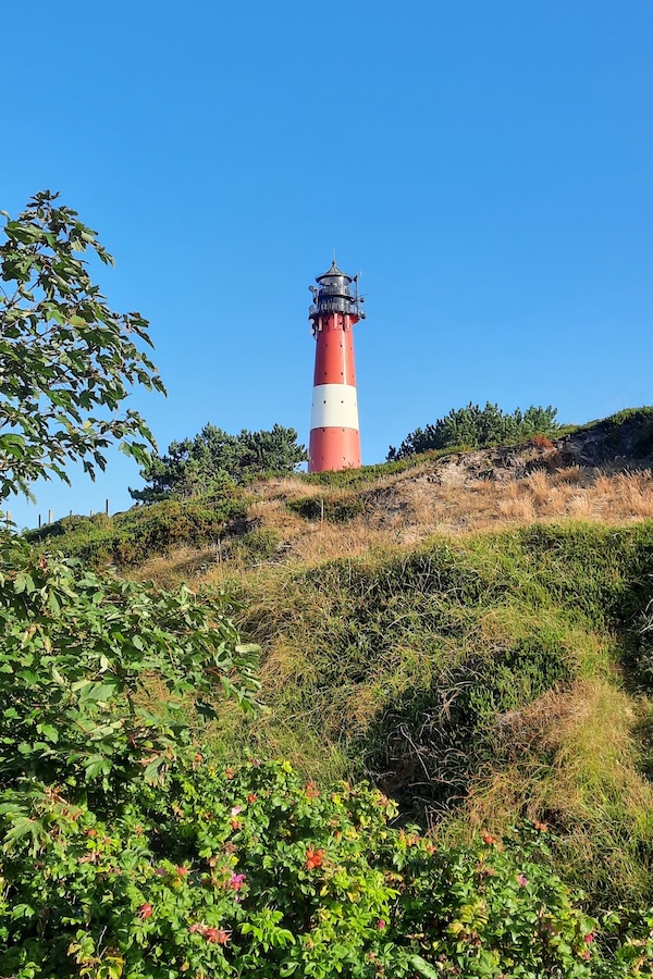 Sonnenauf- oder untergang? (15_20230820_082423.jpg)