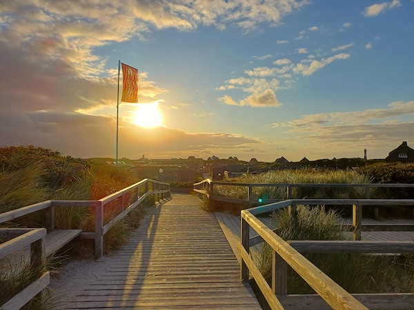 Sylt Impressionen
  (70_20250824_072221.jpg)